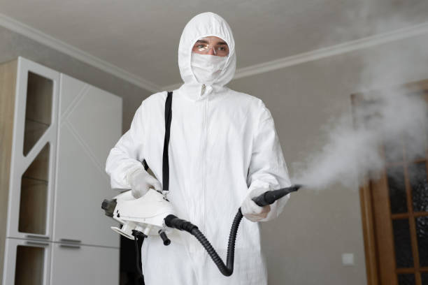 Mold Removal & Remediation