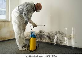 Best Biohazard Mold Removal  in Elizabeth Lake, CA